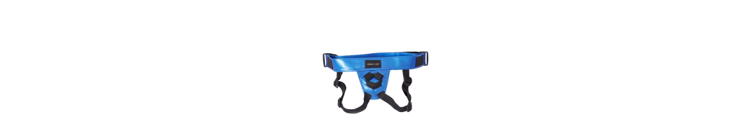 Harness