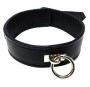 Collars and Leashes