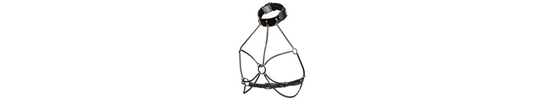 Body Harnesses